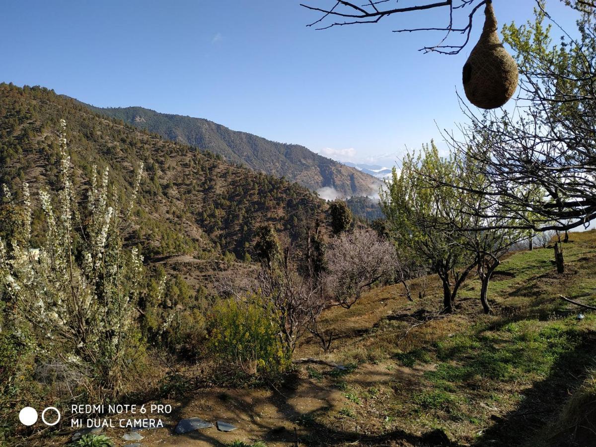 In Apple Estate Kanatal - Himalayan View Resort With Courteous Staff Exteriér fotografie