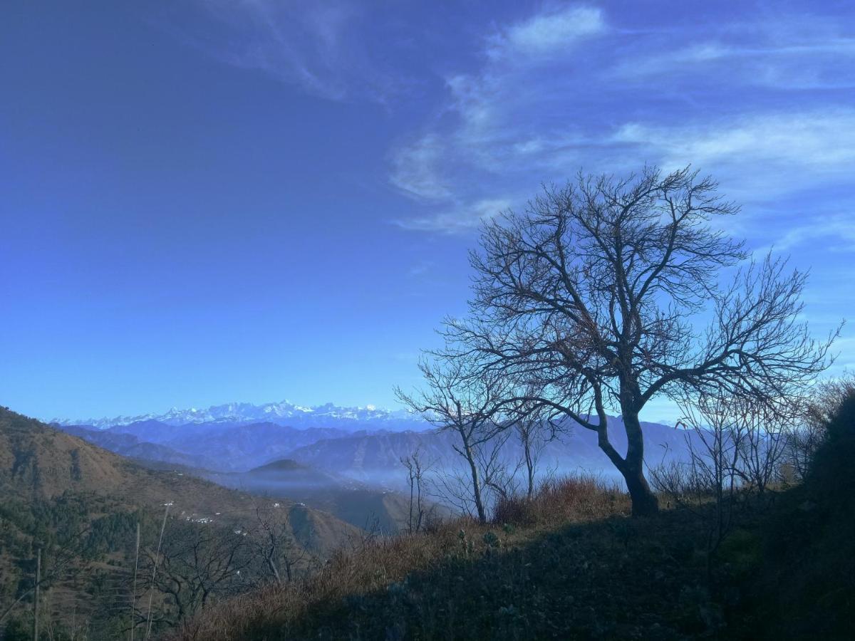 In Apple Estate Kanatal - Himalayan View Resort With Courteous Staff Exteriér fotografie
