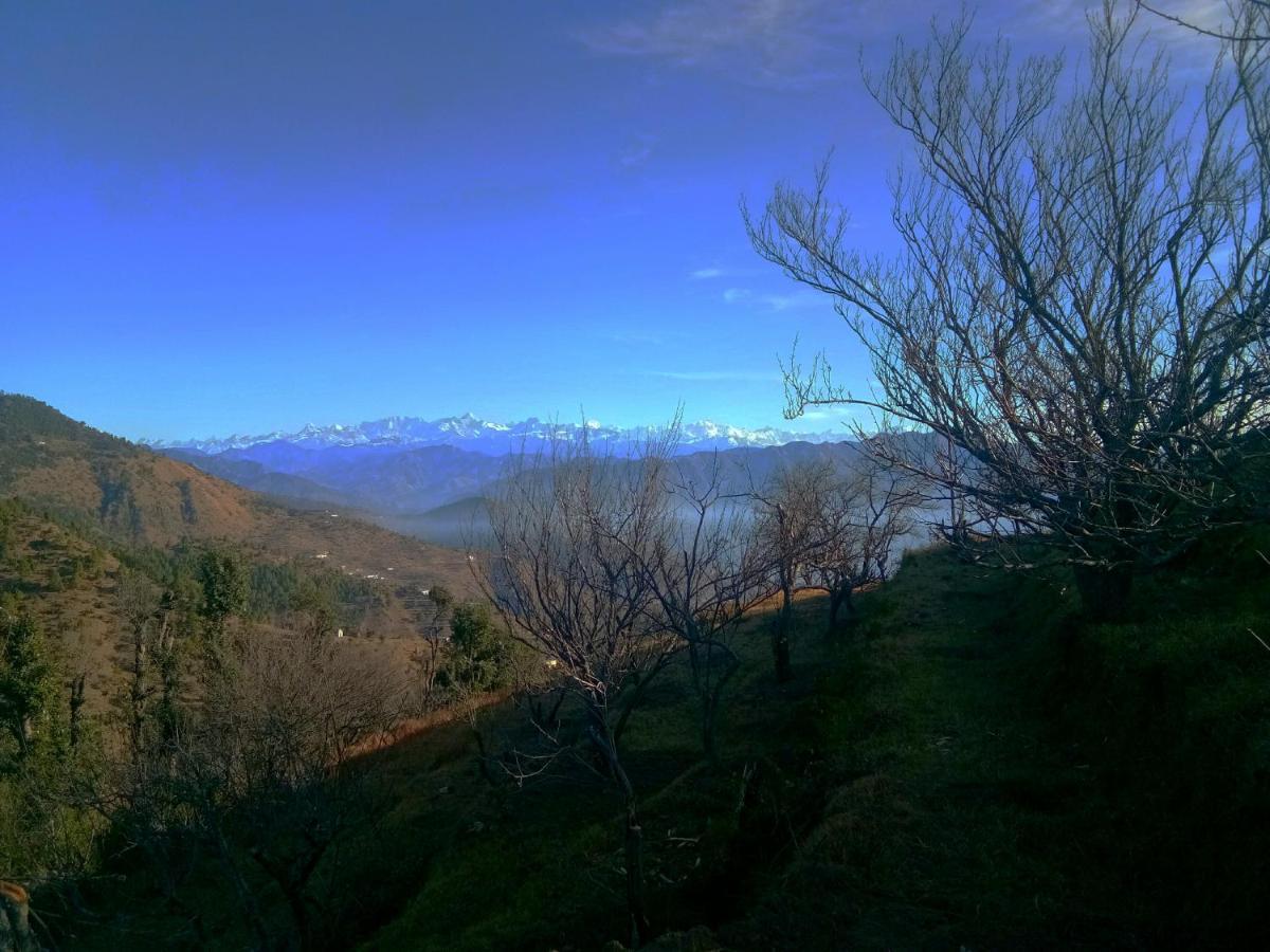 In Apple Estate Kanatal - Himalayan View Resort With Courteous Staff Exteriér fotografie